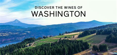 Explore the Wines of Washington