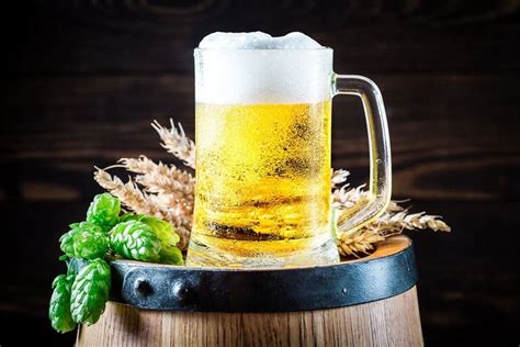 Conocé los beneficios de la cerveza en la salud - LA NACION