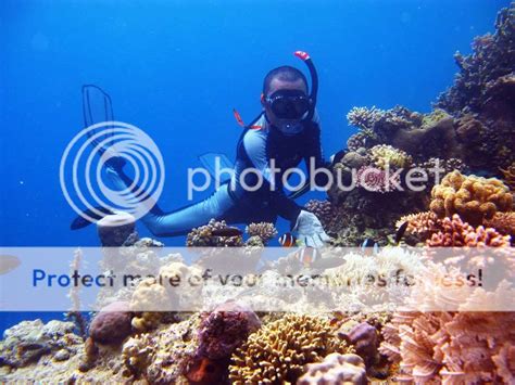 Snorkeling Wakatobi Photo by wa2n_twin | Photobucket