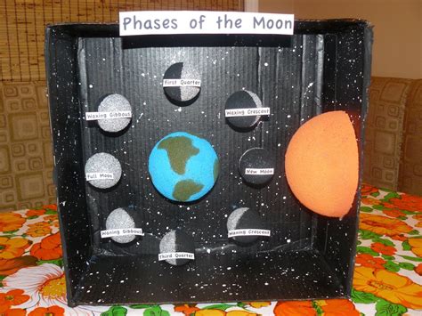 phases of the moon projects | Miss M's science project, phases of the moon. | Science/Social ...