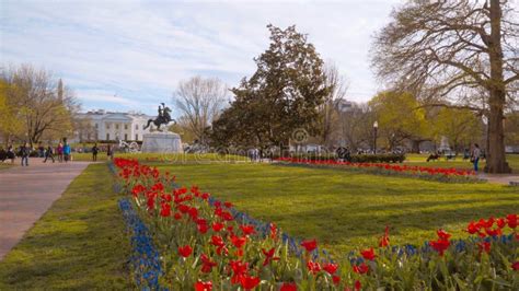 Garden in Front of the White House in Washington - Home and Office of the US President - Travel ...