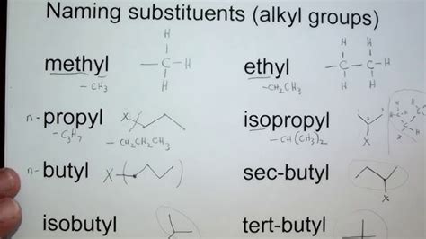 Isobutyl Vs Sec Butyl Vs Tert Butyl