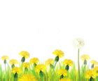 Transparent Grass with Dandelions Clipart | Gallery Yopriceville - High-Quality Free Images and ...