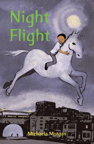 Night Flight | Eve White Literary Agency