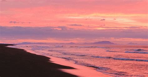 Pink Sky over a Beach · Free Stock Photo