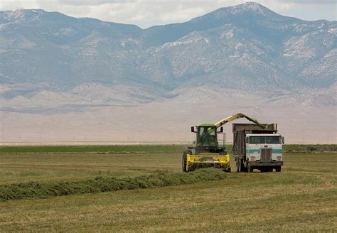 Harvesting Alfalfa Crop Photograph by Jim West - Fine Art America