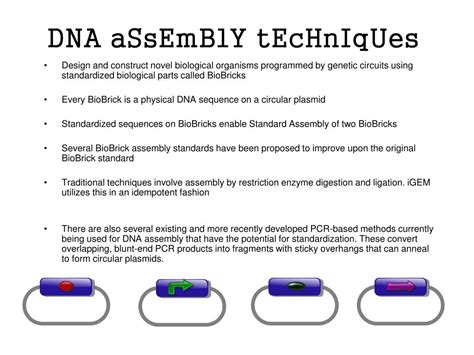 PPT - DNA aSsEmBlY tEcHnIqUes PowerPoint Presentation, free download - ID:2615880