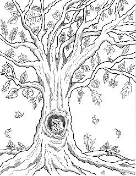 Owl In A Tree Drawing at PaintingValley.com | Explore collection of Owl ...