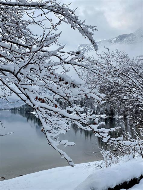 Photo Gallery: A trip to Lake Bohinj in Winter - Fine Stay Slovenia