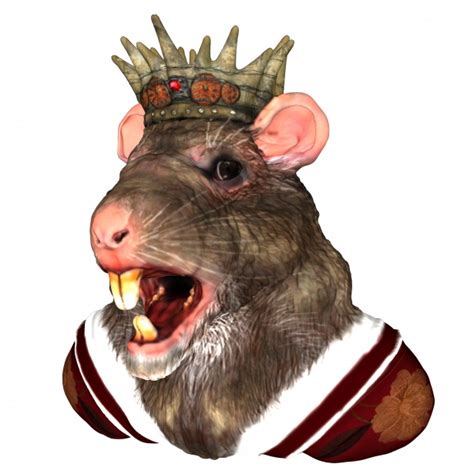 King Rat Free Stock Photo - Public Domain Pictures