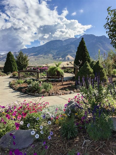 Young Living Lavender Farm- Mona, Utah. Gorgeous with those mountains in the back. | Young ...