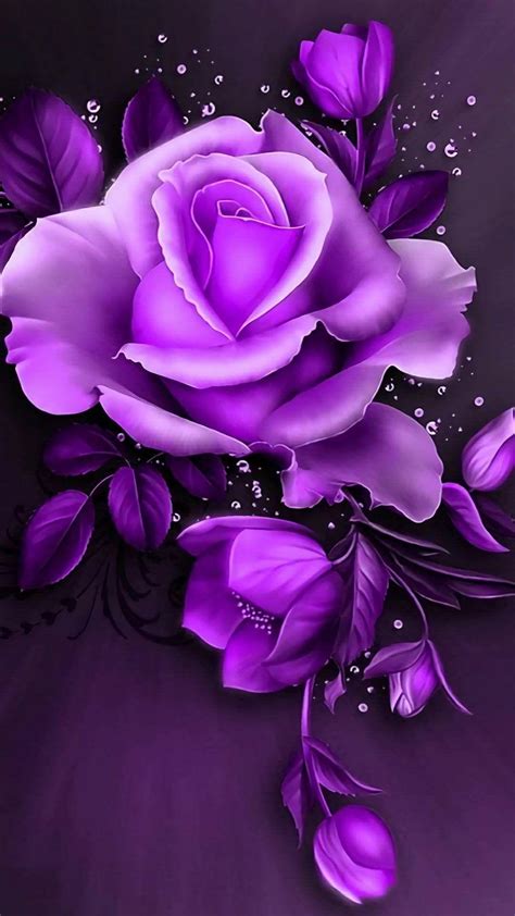 Purple Rose Wallpapers - Top Free Purple Rose Backgrounds - WallpaperAccess