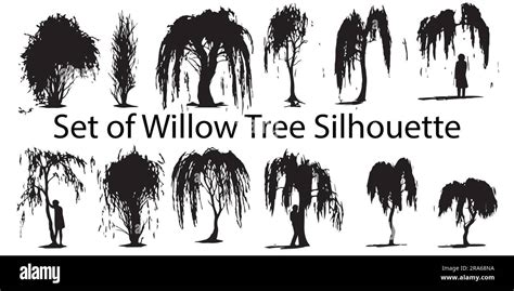 A set of silhouette Willow tree vector illustration Stock Vector Image ...