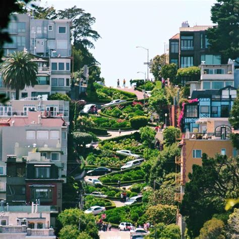 How to Visit Zig Zag Road in San Francisco (2024) | Creative Travel Guide