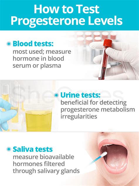 Progesterone Tests | SheCares