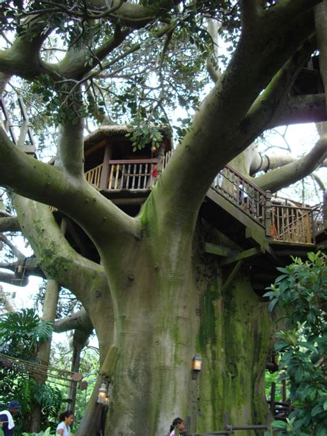 Swiss Family Treehouse - Magic Kingdom Walt Disney World