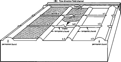 Aggregate more than 129 ring basin irrigation method latest - awesomeenglish.edu.vn