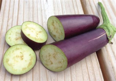 Long Purple, Eggplant Seeds | Urban Farmer