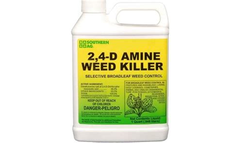 Best Dandelion Killer - Latest Reviews and Buying Guide