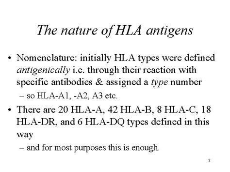 HLA in more detail 1 What is HLA