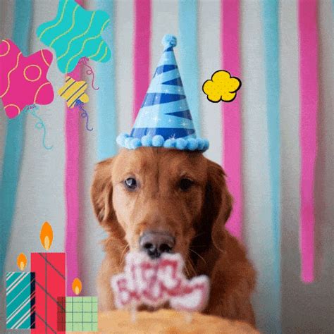 Birthday Wishes for Dog, Puppy, Pet Happy Birthday Dog Gif