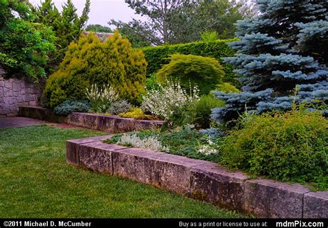 Toledo Botanical Garden Picture 069 - June 11, 2011 from Toledo, Ohio - mdmPix.com