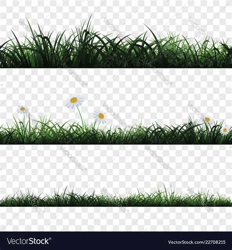 Seamless pattern of grass Royalty Free Vector Image