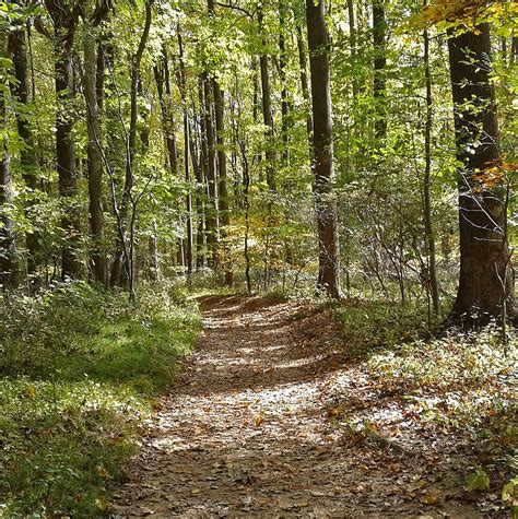 Oregon Ridge Park’s network of trails take you through forest, field ...