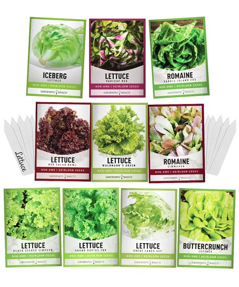 Lettuce Seed Packets