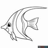 Angelfish Coloring Page  Easy Drawing Guides sketch template
