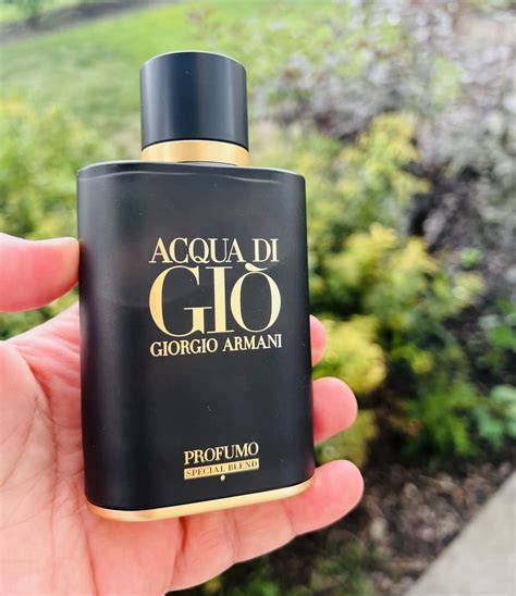 Acqua di Gio Profumo Special Blend Giorgio Armani cologne - a fragrance ...