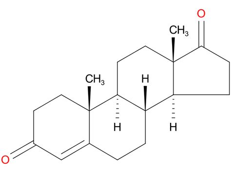 androstenedione