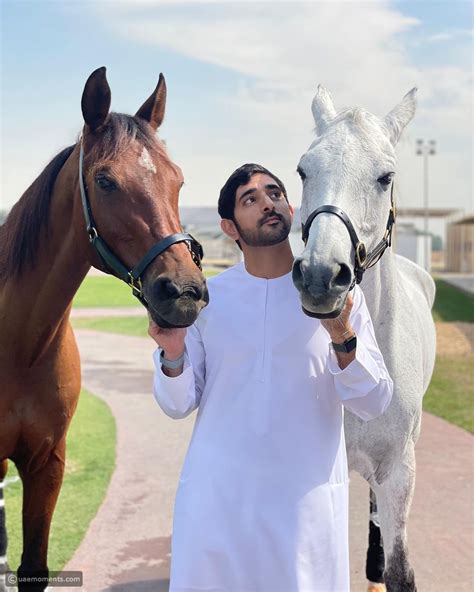 UAE Royals: Get to Know Sheikh Hamdans Horses - UAE Moments