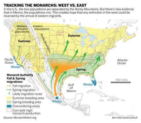 Monarch Migration Route Map