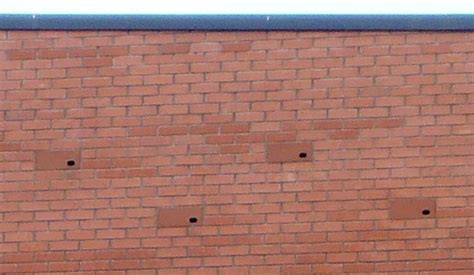 Action for Swifts: Swifts occupy Ibstock swift bricks at Antrim County Library