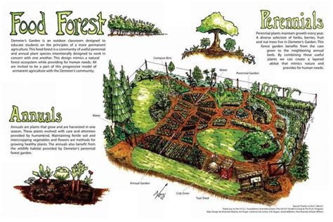 Bauen Sie einen Permakultur-Garten an (weniger Arbeit + mehr Erträge) | Permakultur ...