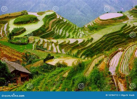 Rice Terraces in Mounting of Yunnan, China Stock Photo - Image of hill ...