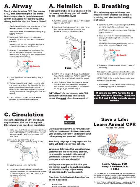 CPR for Dogs | Cardiopulmonary Resuscitation | Veterinary Physician ...