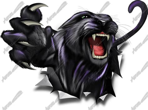 Rips - Aurora Graphics | Panther, Black panther tattoo, Black panther