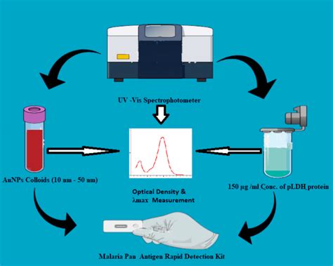 Diagnostics | Free Full-Text | Optical Density Optimization of Malaria ...