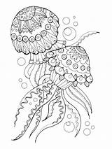 Jellyfish coloring Pages For Adults sketch template