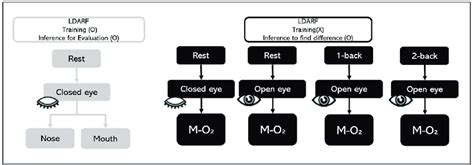 Electroencephalography (EEG) training dataset and EEG test dataset ...