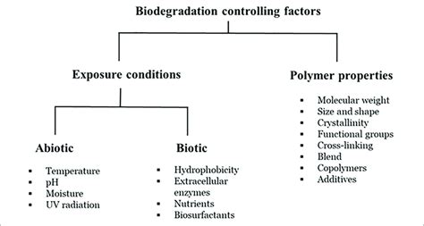 | Factors affecting polymer biodegradation (adapted from Kijchavengkul... | Download Scientific ...