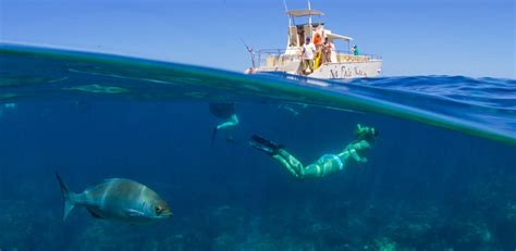 The Premier Location For Kauai Snorkeling Tours | Makana Charters