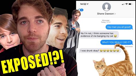 Shane Dawson Cat Meme