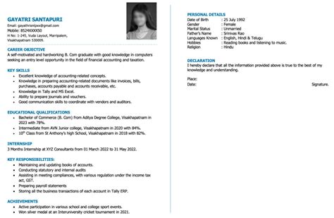 2-Page Resume Template Free Download in Word