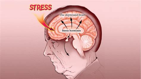 Animal Research Success: Psychiatric Disorders