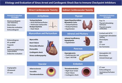 Causes and Work-Up of Sinus Arrest and Cardiogenic Shock Due to Toxic ...