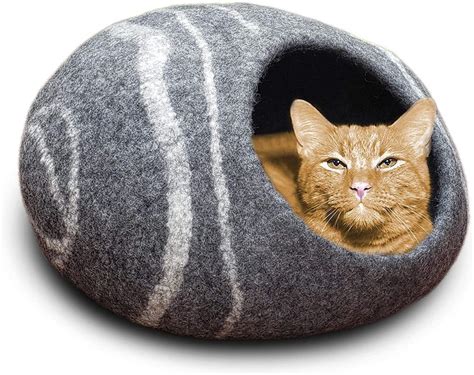 Covered Cat Beds for Large Cats-Buying Guide - Birman Cats Guide