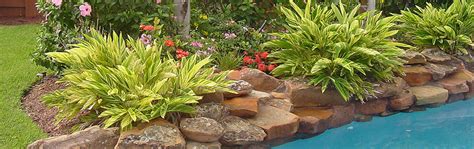 Houston Pool Side Landscape Design - Pool Landscape Design Houston